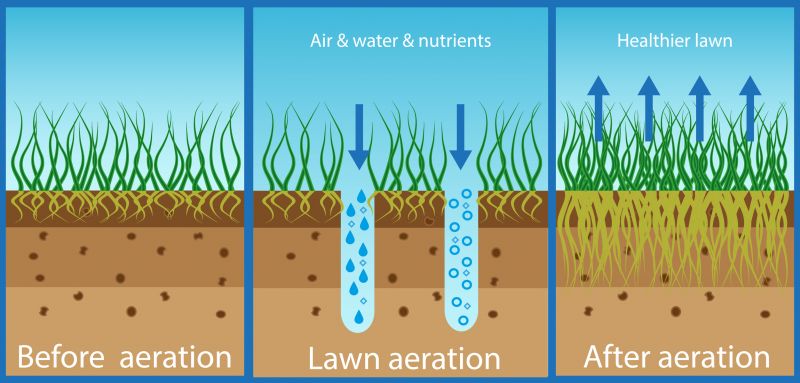 Aeration Service