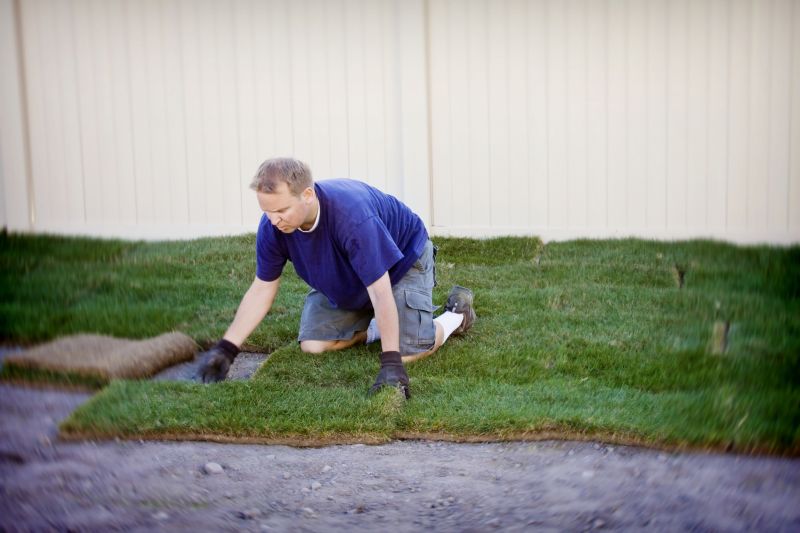 Centipede Sod Installation in Honolulu, HI