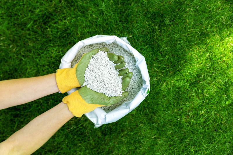 Grass Treatment in Honolulu, HI
