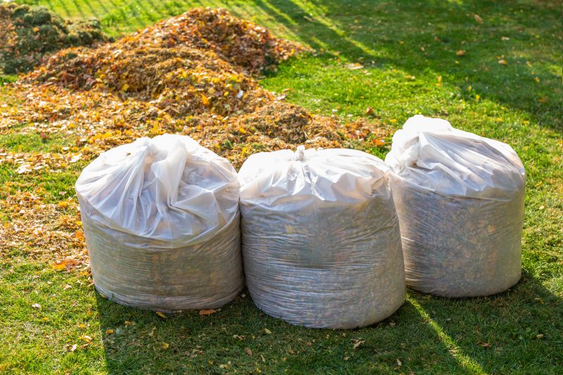 Lawn Cleanup Service in Honolulu, HI