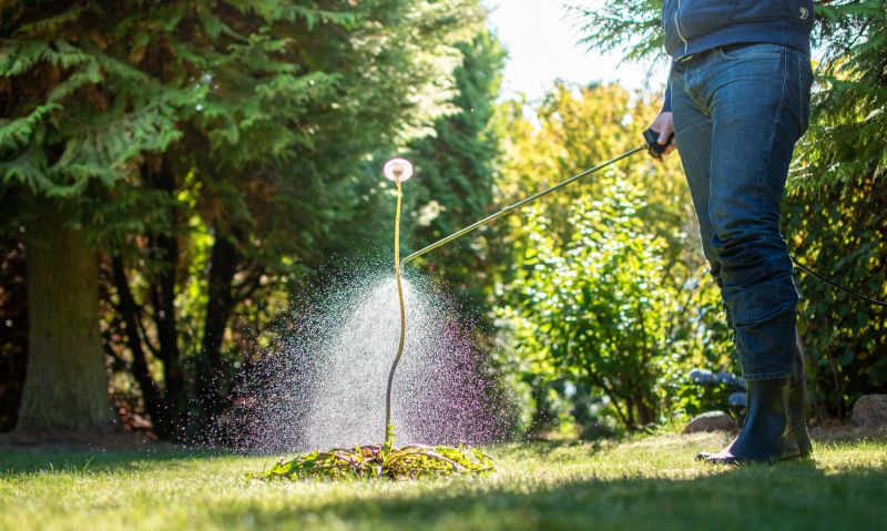 Lawn Herbicide Treatment in Rockwall, TX
