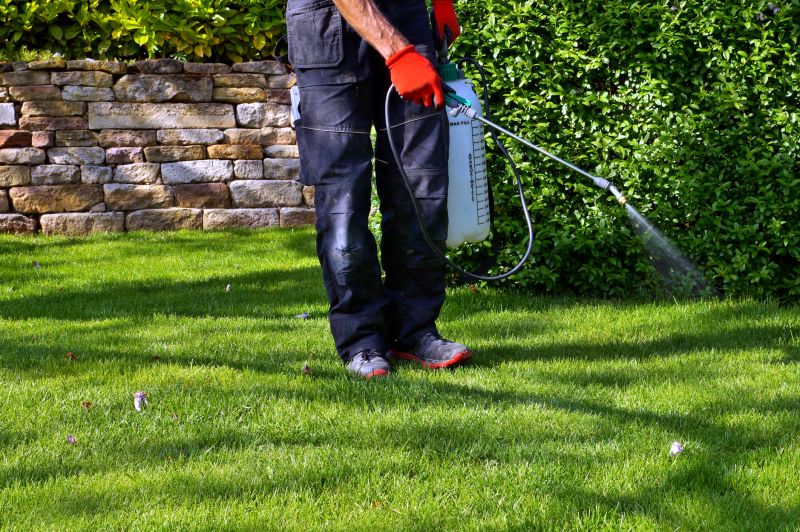 Lawn Weed Treatment in Ventura County, CA