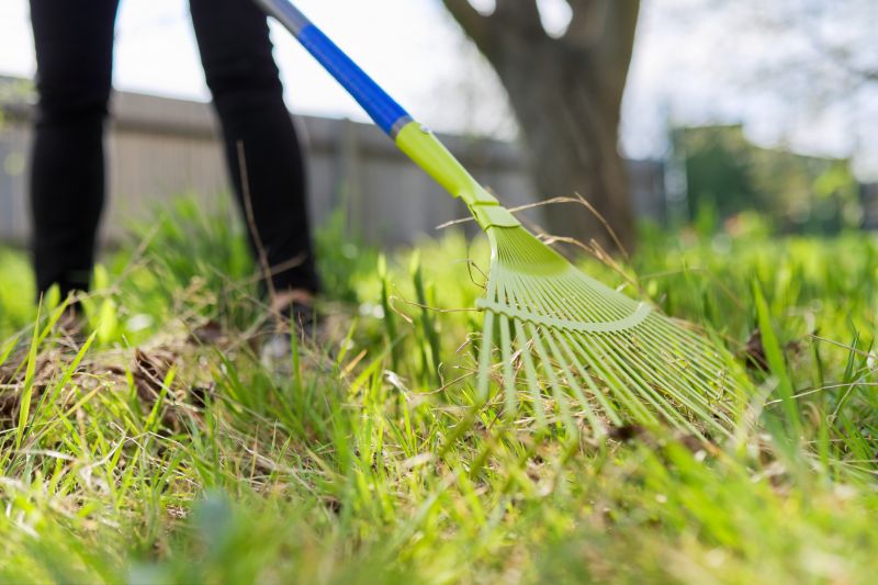 Leaf Raking Service in Honolulu, HI