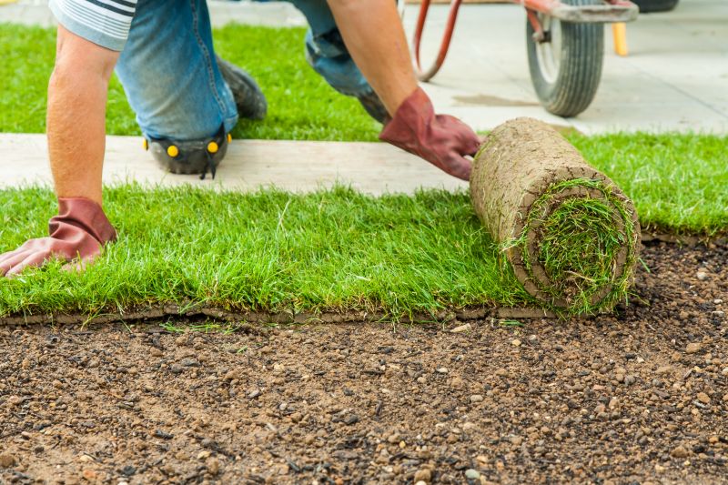 Sod Landscaping in Ventura County, CA