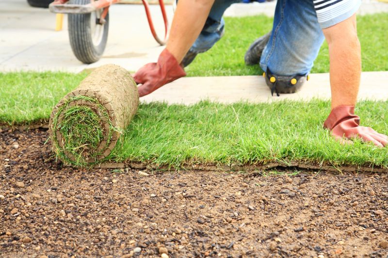 Sod Laying Service in Aiken, SC