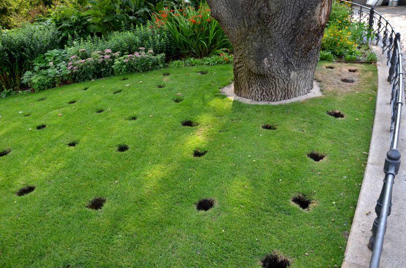 Spring Lawn Aeration