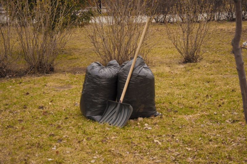 Spring Yard Clean Up Service in Honolulu, HI