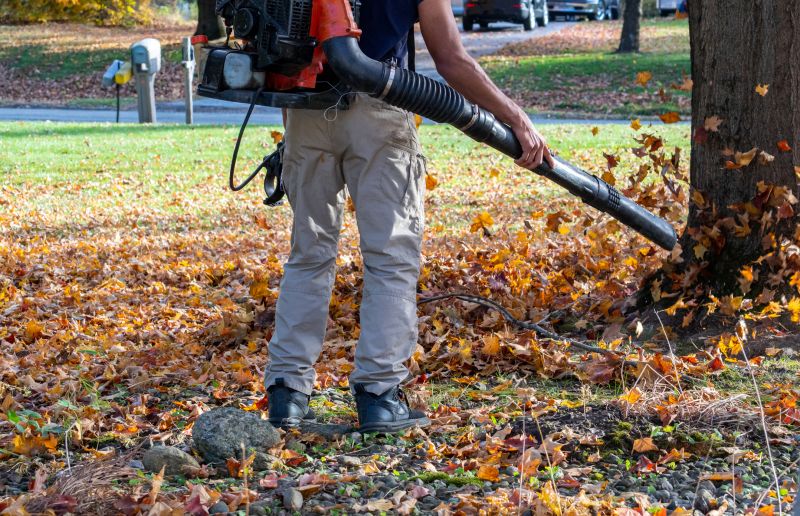 Spring Yard Clean Up Service in Honolulu, HI