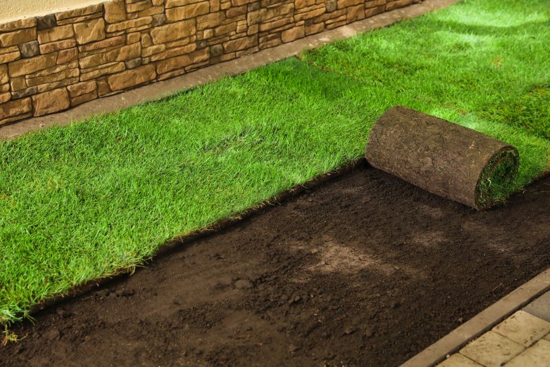 Turfing Service in Rockwall, TX