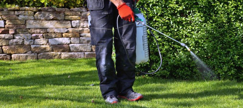 Weed Prevention Service in Ventura County, CA