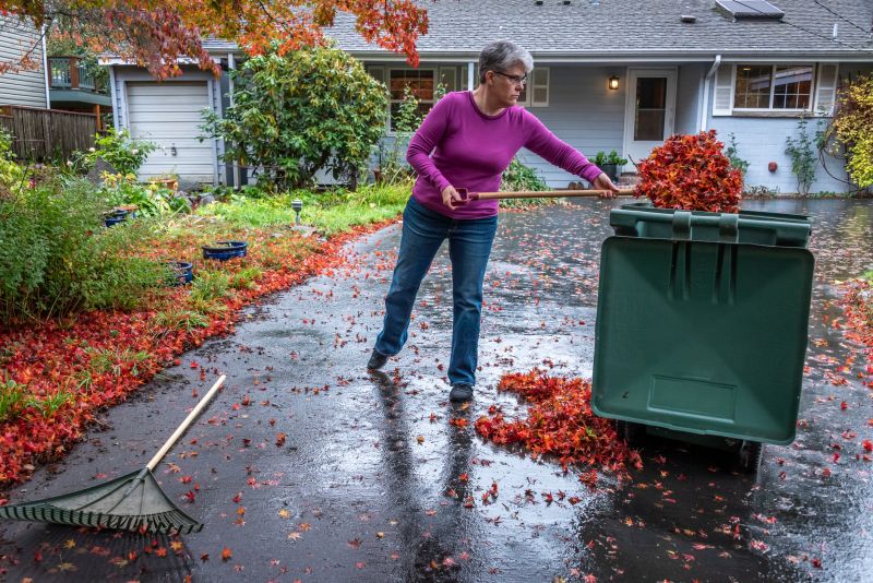 Fall Lawn Cleanup Service in Honolulu, HI